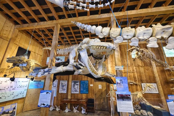 Telegraph Cove