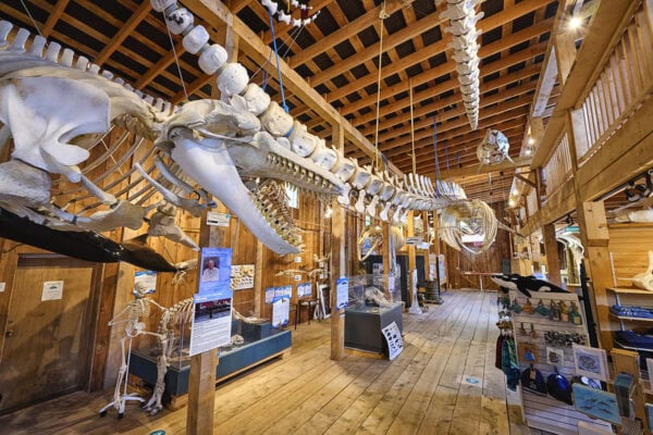 Telegraph Cove