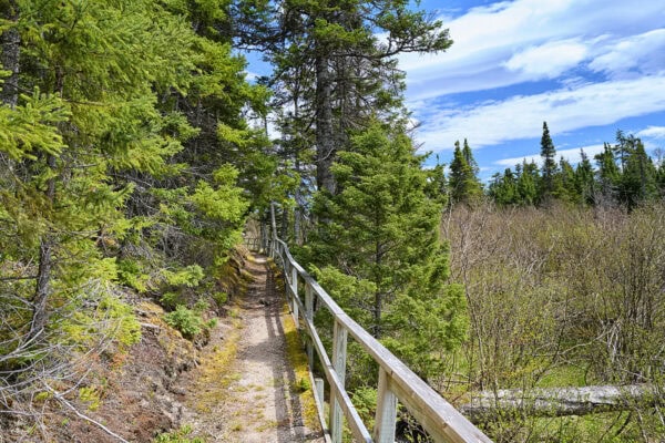 Terra Nova National Park