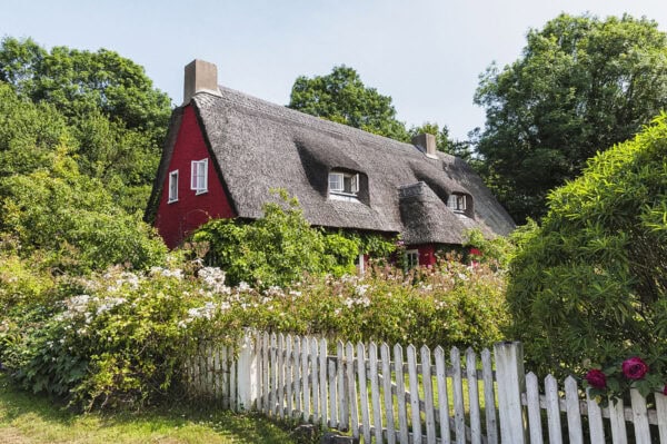 Thatched Cottage