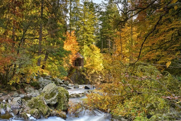 The Hermitage