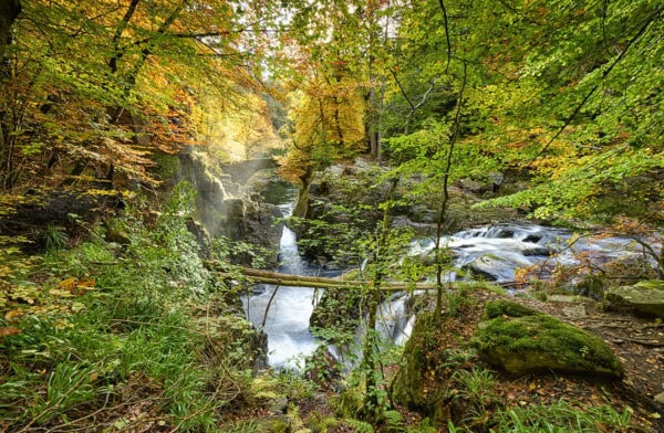 The Hermitage