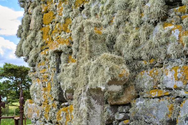 Tobha Mòr Chapels