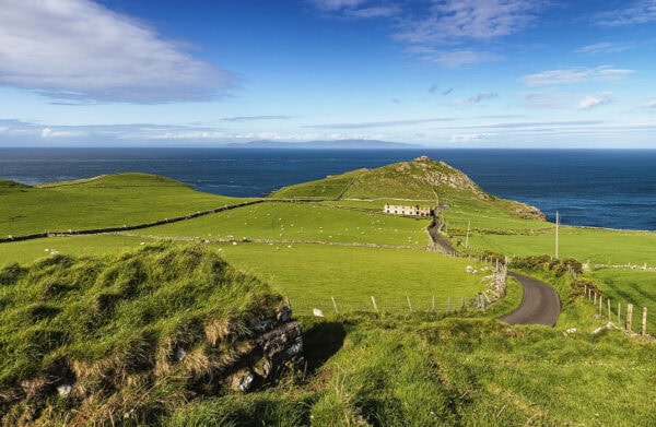 Torr Head