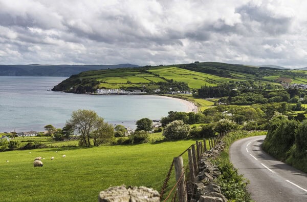 Torr Head Drive