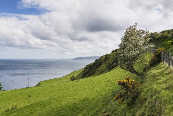 Torr Head Drive