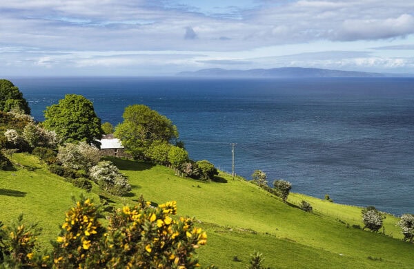 Torr Head Drive