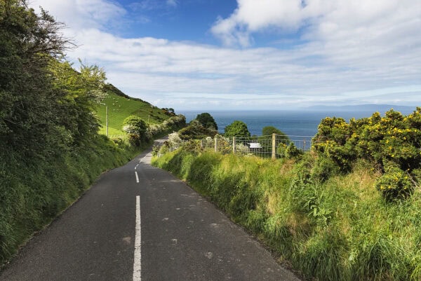 Torr Head Drive