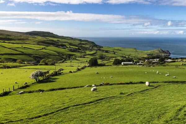 Torr Head Drive