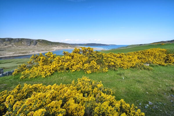 Torrisdale Bay