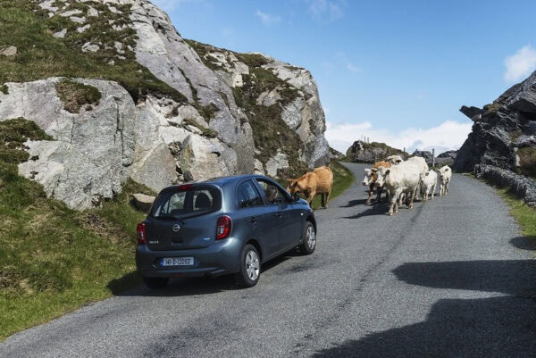 Traffic Jam