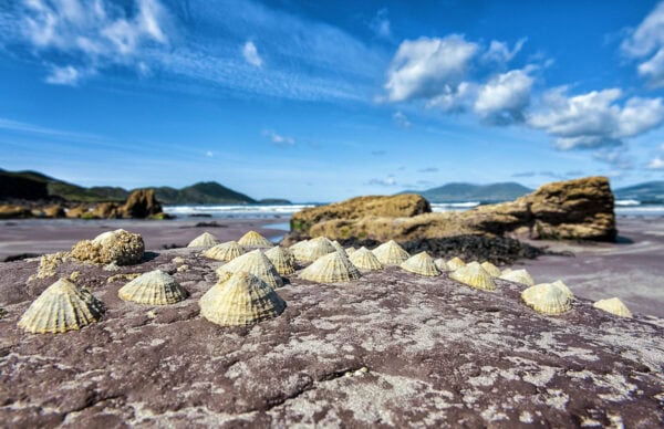 Tralaher Strand