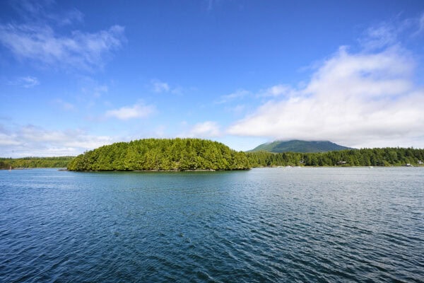 Ucluelet Harbour