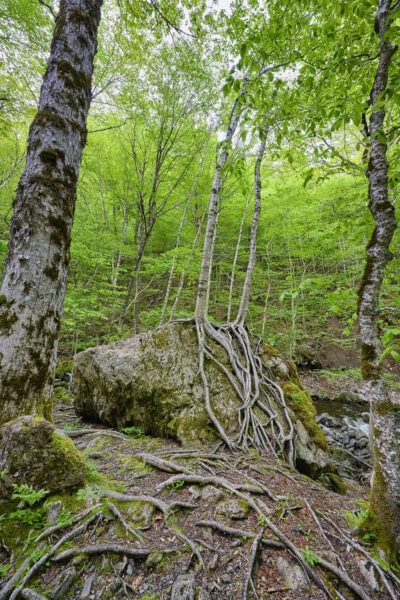 Uisge Ban Falls