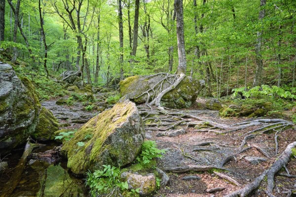 Uisge Ban Falls
