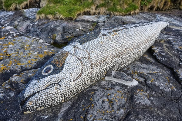 The Mackerel