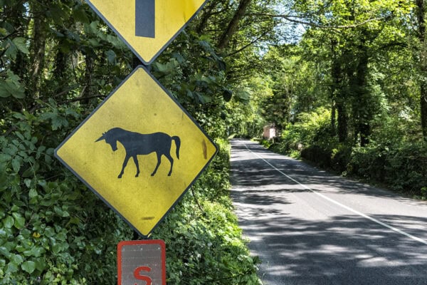 Unicorn Sign