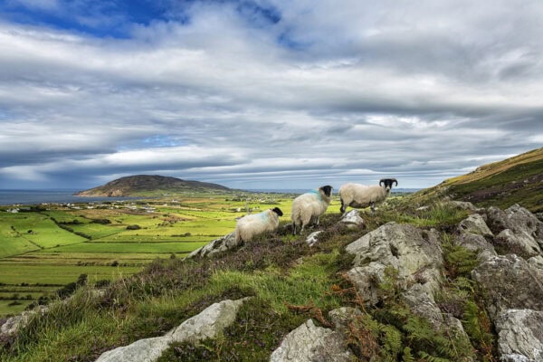 Urris Hills
