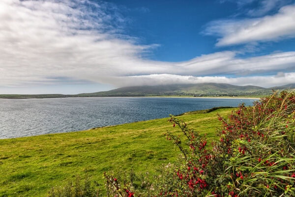 Ventry Bay