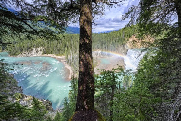 Wapta Falls