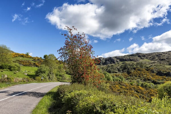 West Cork