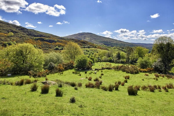 West Cork