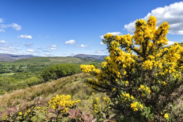 West Cork