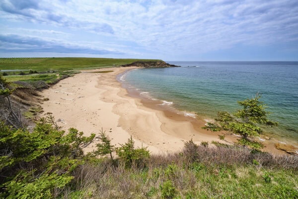 Whale Cove Beach