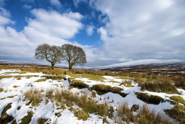 Wicklow Mountains