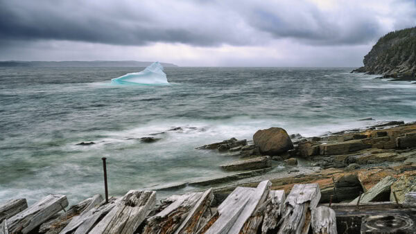 Iceberg in Wolf Cove